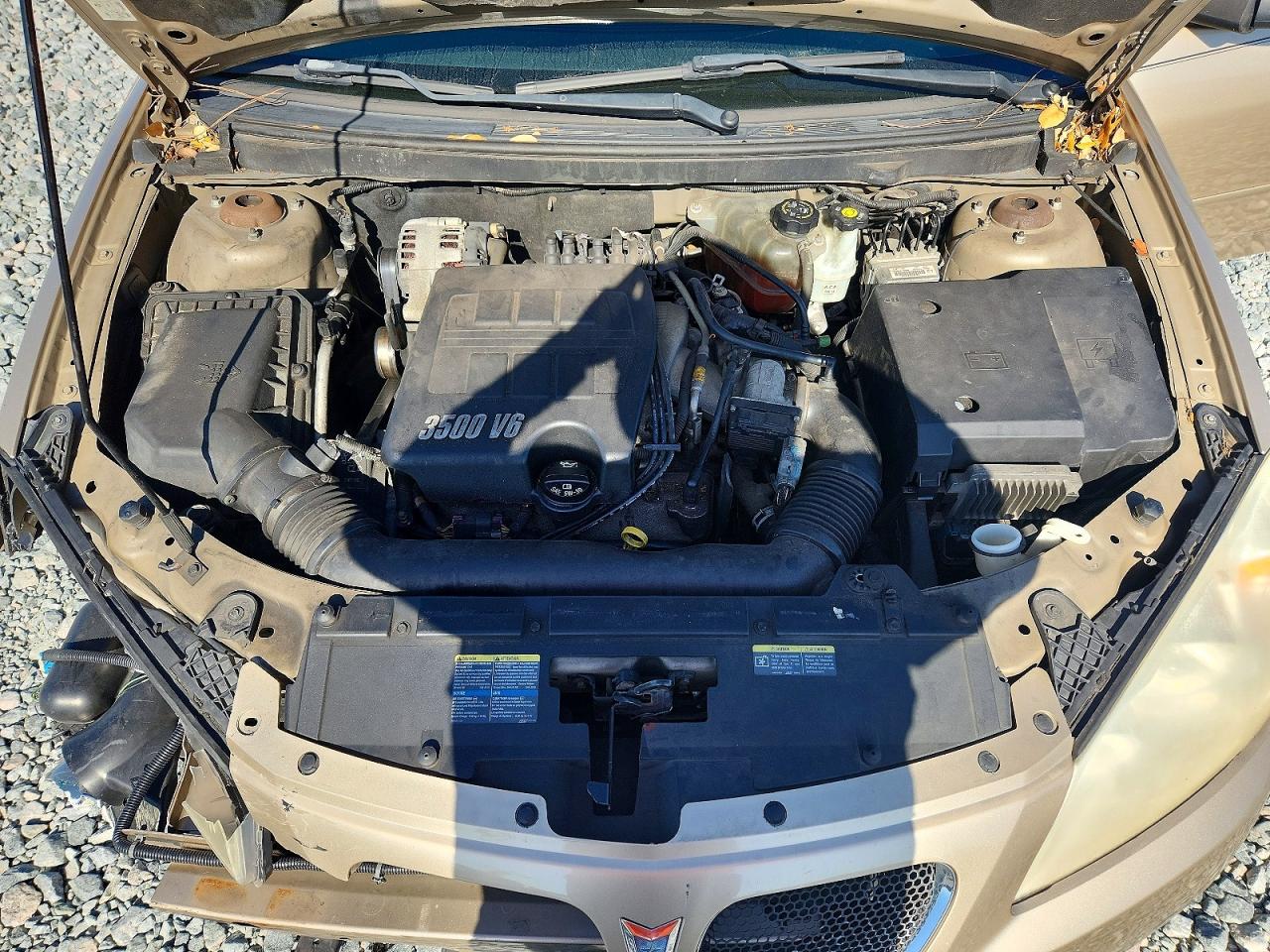 2006 Pontiac G6 Se1 Tan vin: 1G2ZG578564290625