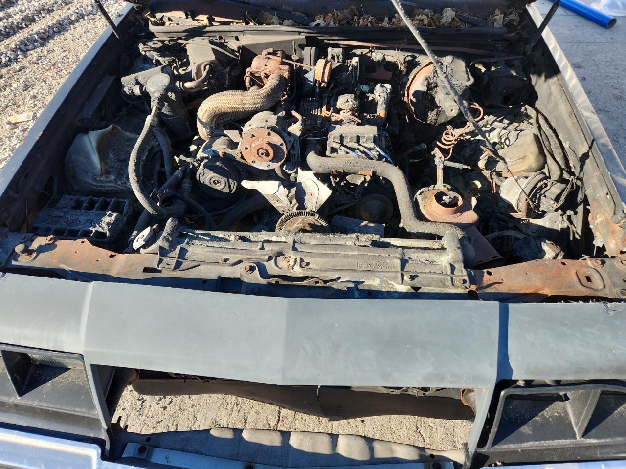 1985 Buick Regal T-type Blue vin: 1G4GK4795FP419686