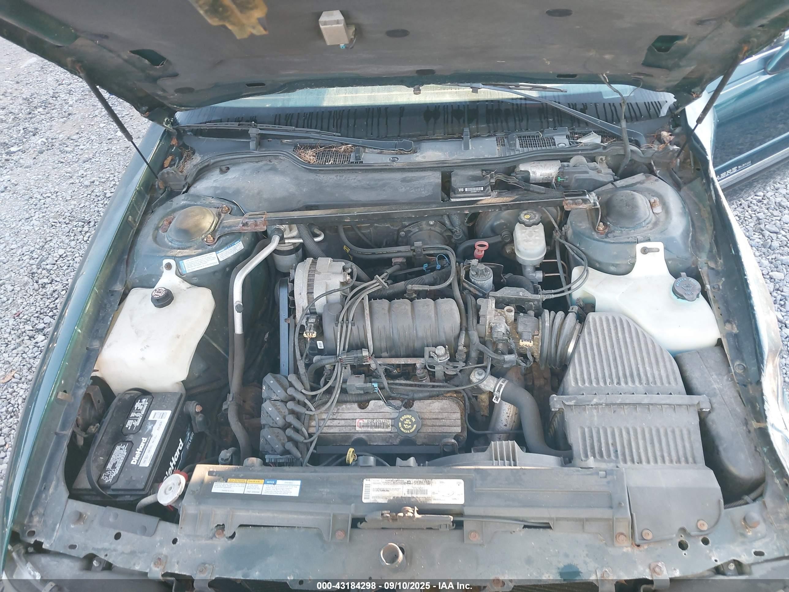 1999 Buick Lesabre Custom Green vin: 1G4HP52K6XH407368