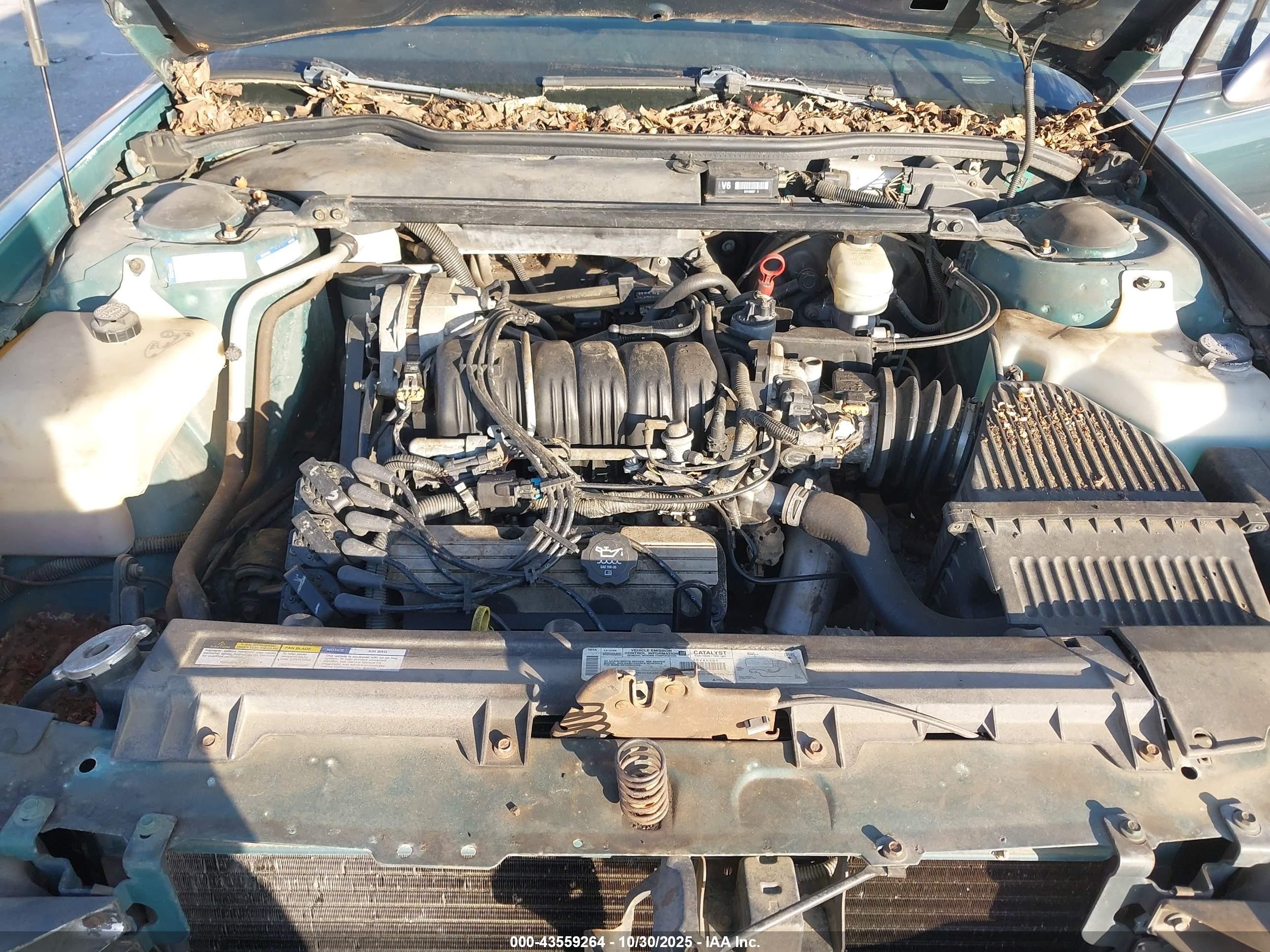 1998 Buick Lesabre Custom Зеленый vin: 1G4HP52K7WH531096