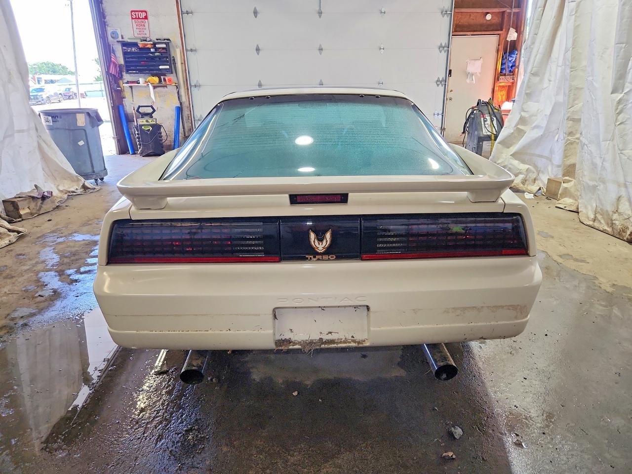 1989 Pontiac Firebird Trans Am White vin: 1G5FW2176KL243126