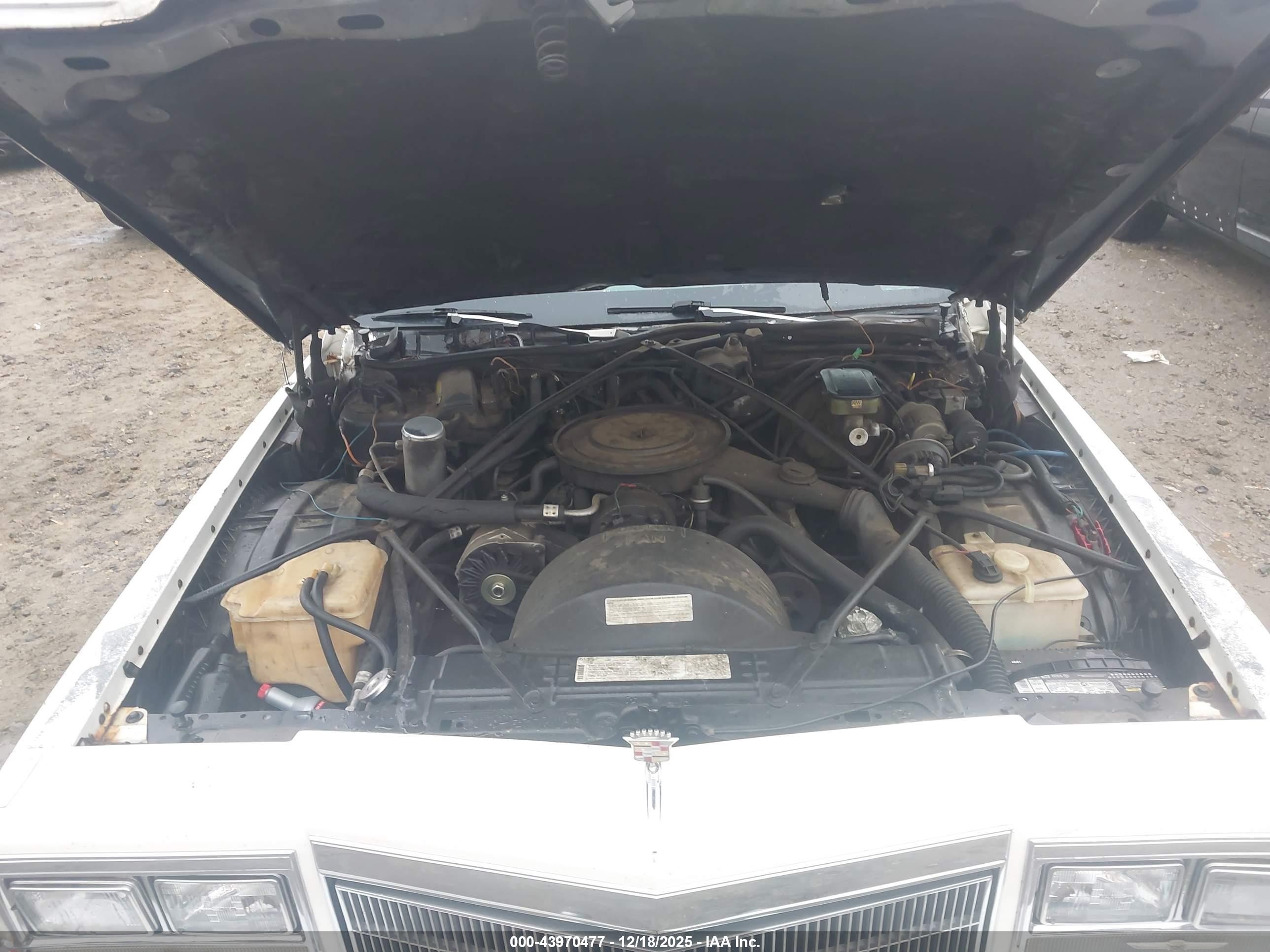 1984 Cadillac Deville   White vin: 1G6AM4783E9125835