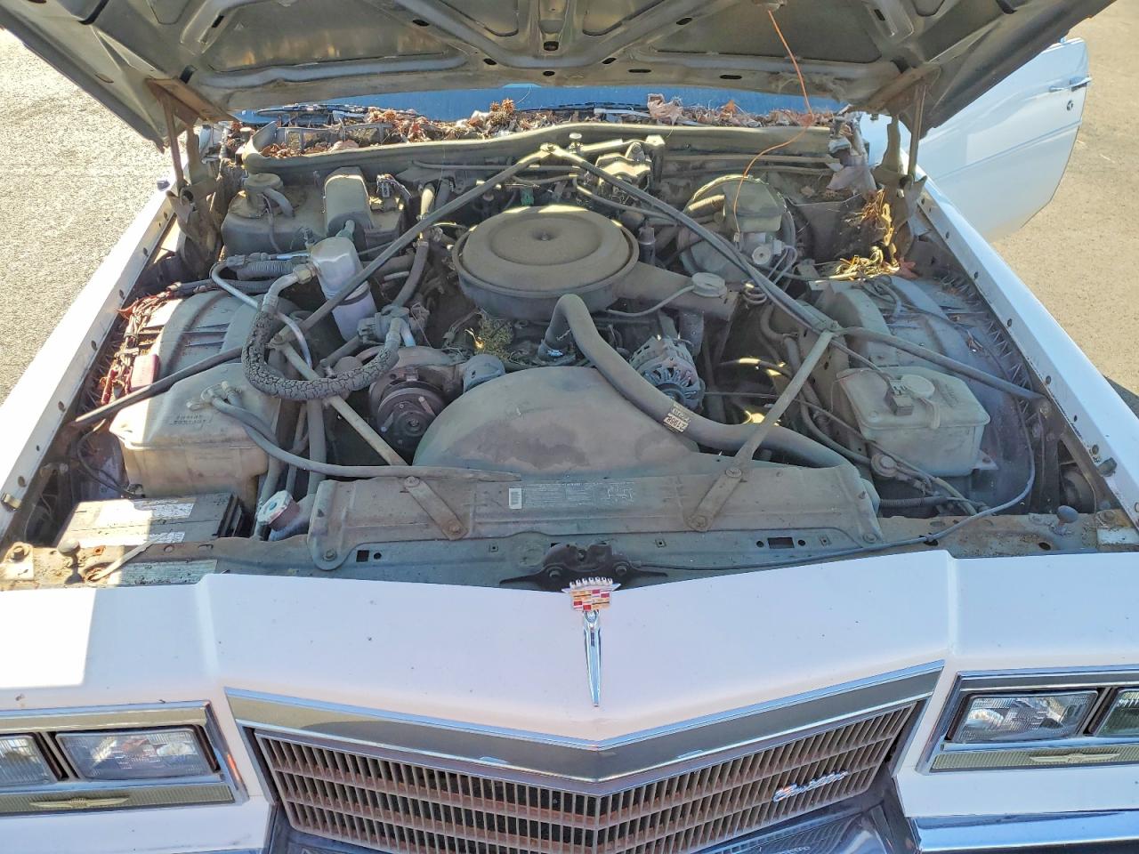 1984 Cadillac Deville White vin: 1G6AM6981E9005492