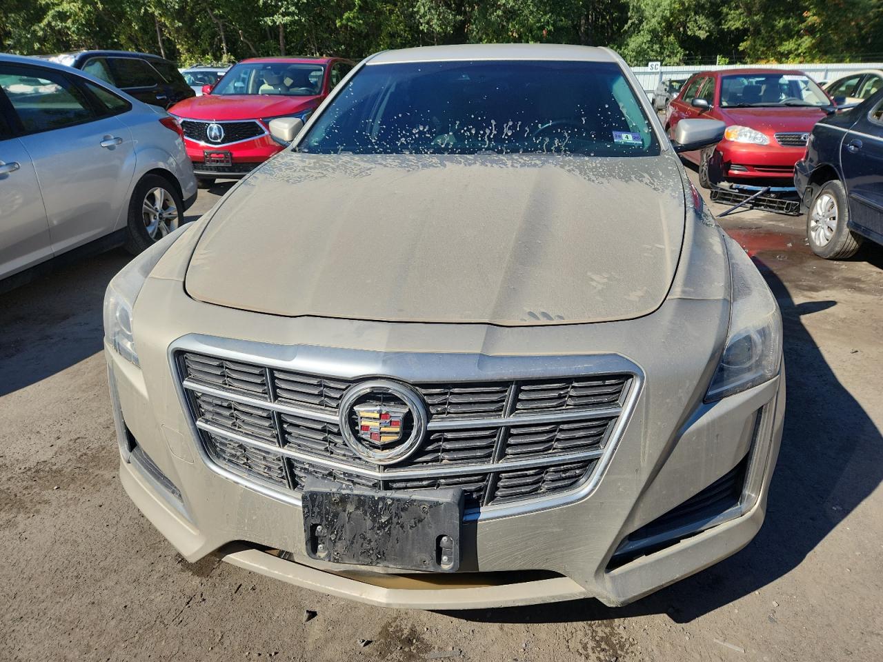 2014 Cadillac Cts Luxury Collection Кремовый vin: 1G6AR5SX9E0153312
