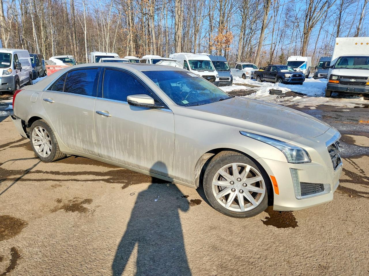 2015 Cadillac Cts Luxury Collection Beige vin: 1G6AX5SX6F0129993