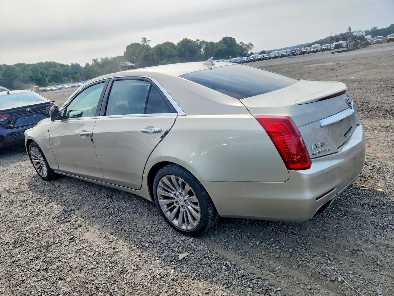2014 Cadillac Cts Performance Collection Tan vin: 1G6AY5S35E0184167