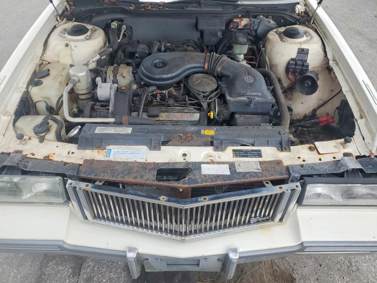 1988 Cadillac Deville White vin: 1G6CD1150J4301933