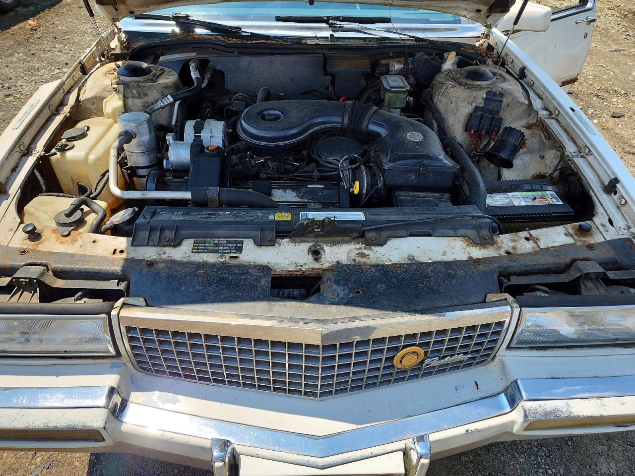 1989 Cadillac De Ville White vin: 1G6CD5155K4347203