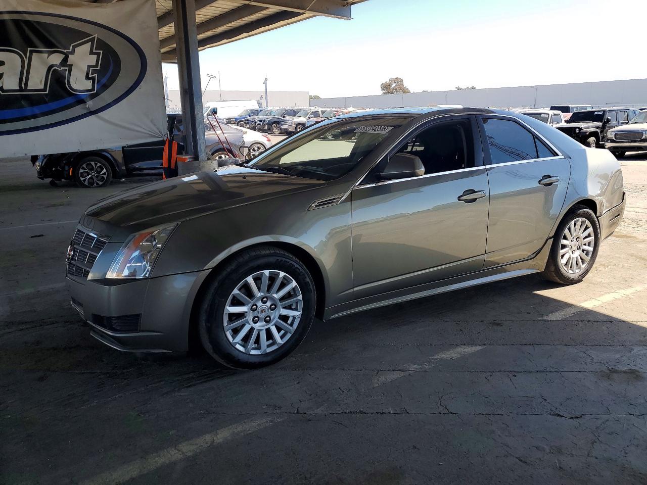 2010 Cadillac Cts Tan vin: 1G6DA5EG2A0133154