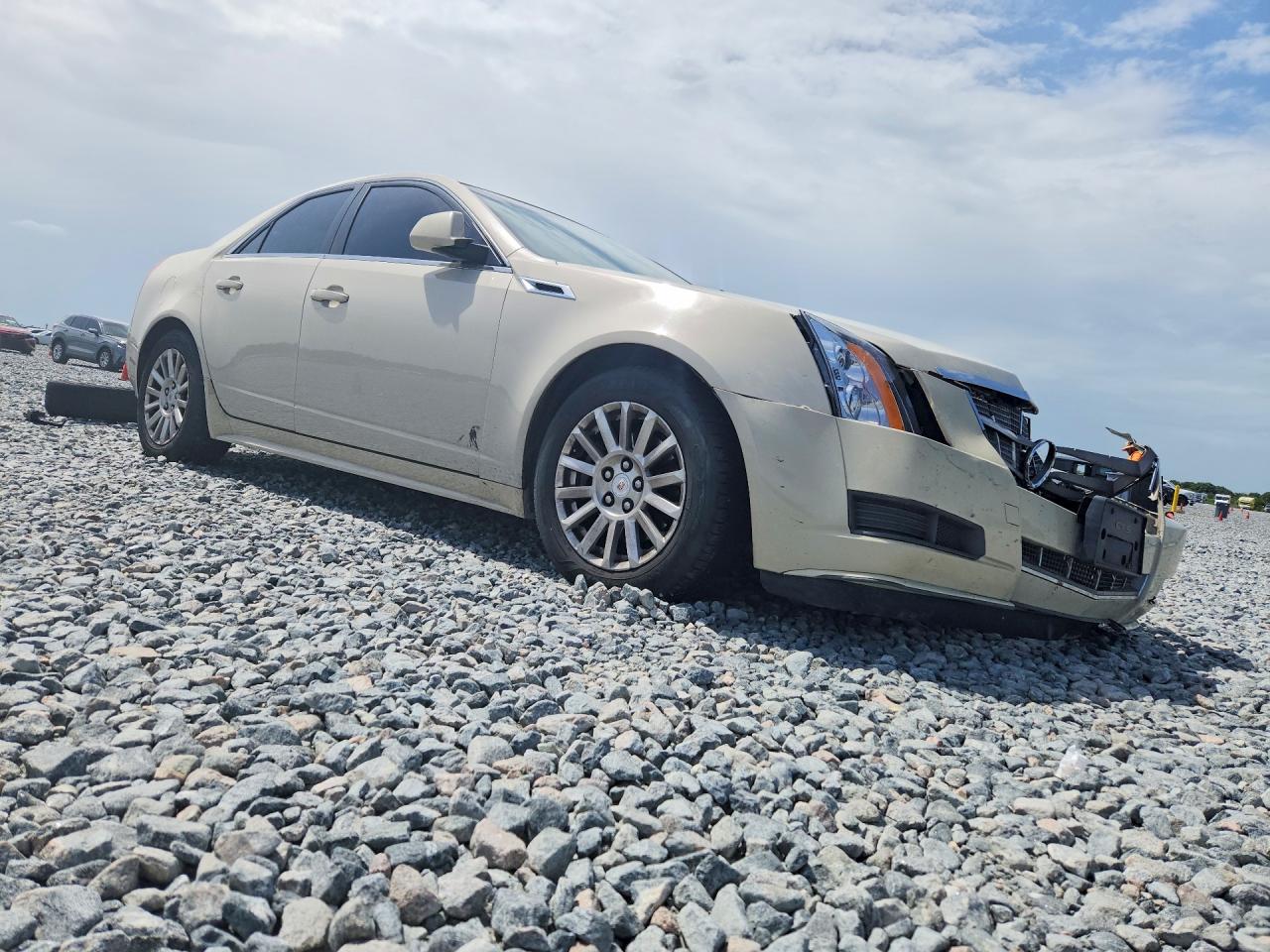 2011 Cadillac Cts Кремовый vin: 1G6DA5EY0B0117626