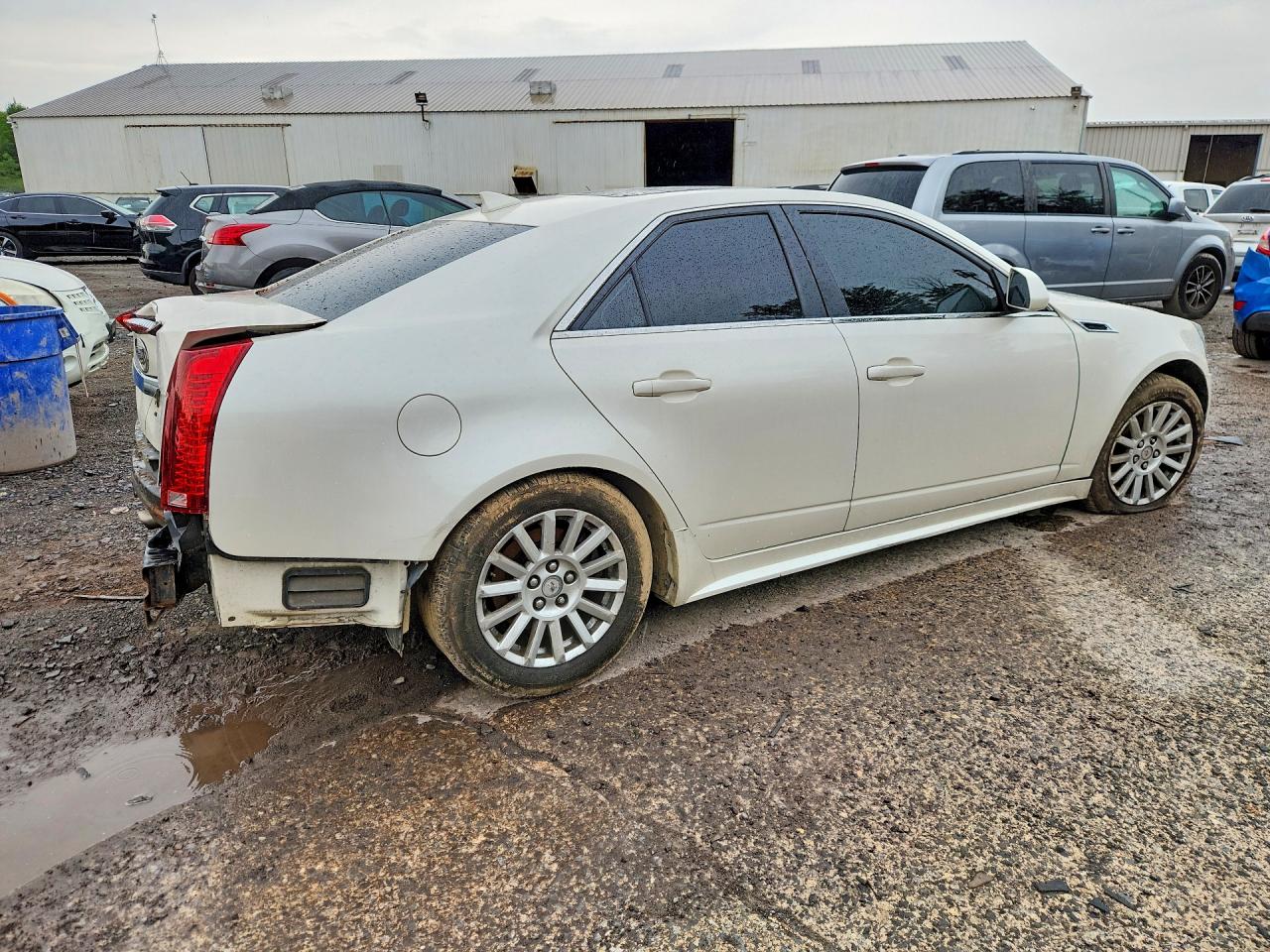 2011 Cadillac Cts White vin: 1G6DC5EY0B0169705