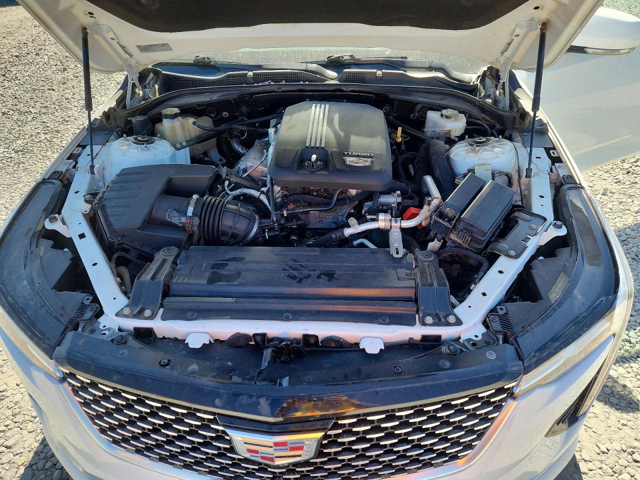 2020 Cadillac Ct4 Sport White vin: 1G6DC5RK0L0140194