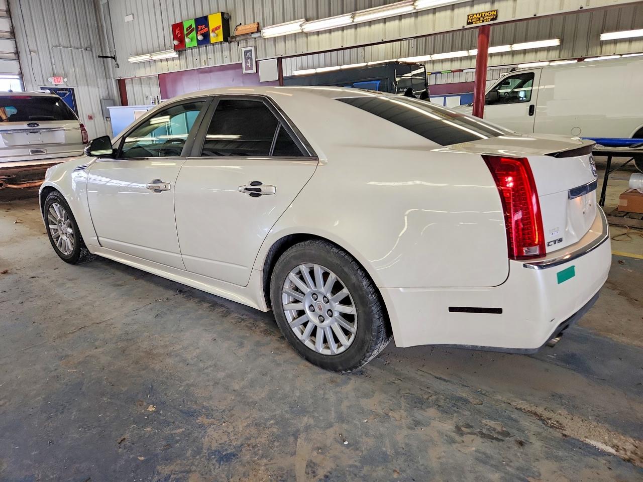 2010 Cadillac Cts Luxury Collection White vin: 1G6DE5EG3A0105111
