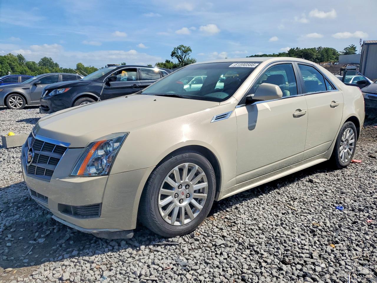 2010 Cadillac Cts Luxury Collection Cream vin: 1G6DE5EG6A0141116
