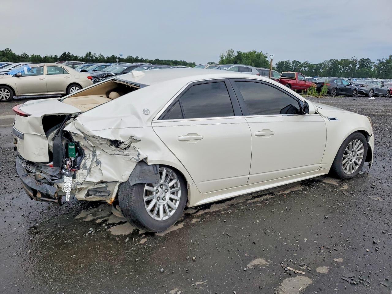 2011 Cadillac Cts Luxury Collection Белый vin: 1G6DF5EY7B0143349