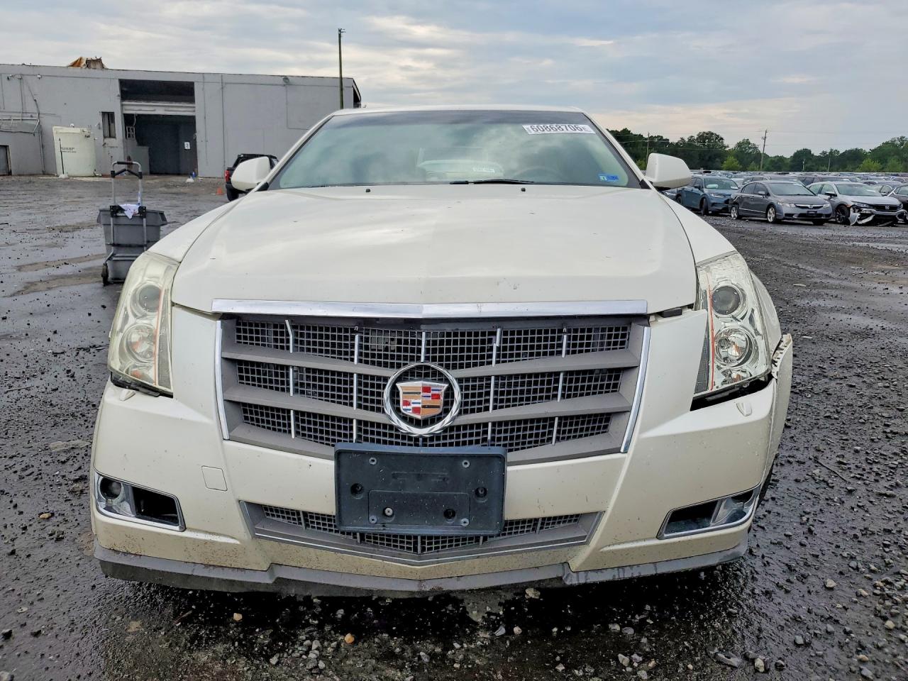 2011 Cadillac Cts Luxury Collection Белый vin: 1G6DF5EY7B0143349