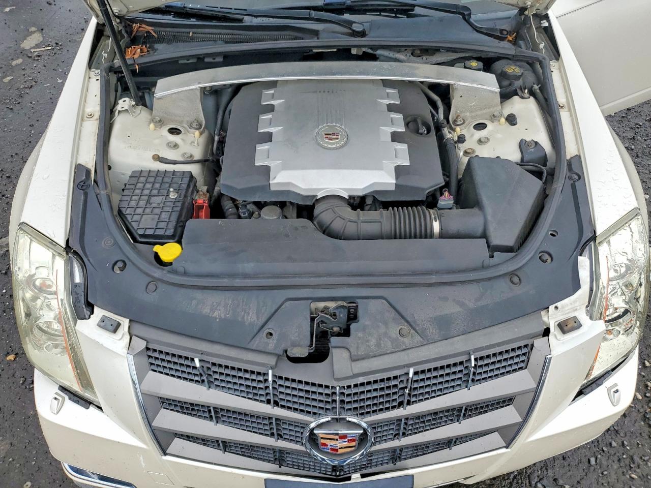 2011 Cadillac Cts Luxury Collection Белый vin: 1G6DF5EY7B0143349