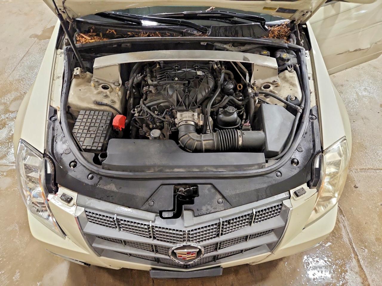 2010 Cadillac Cts Luxury Collection Beige vin: 1G6DG5EG3A0142413