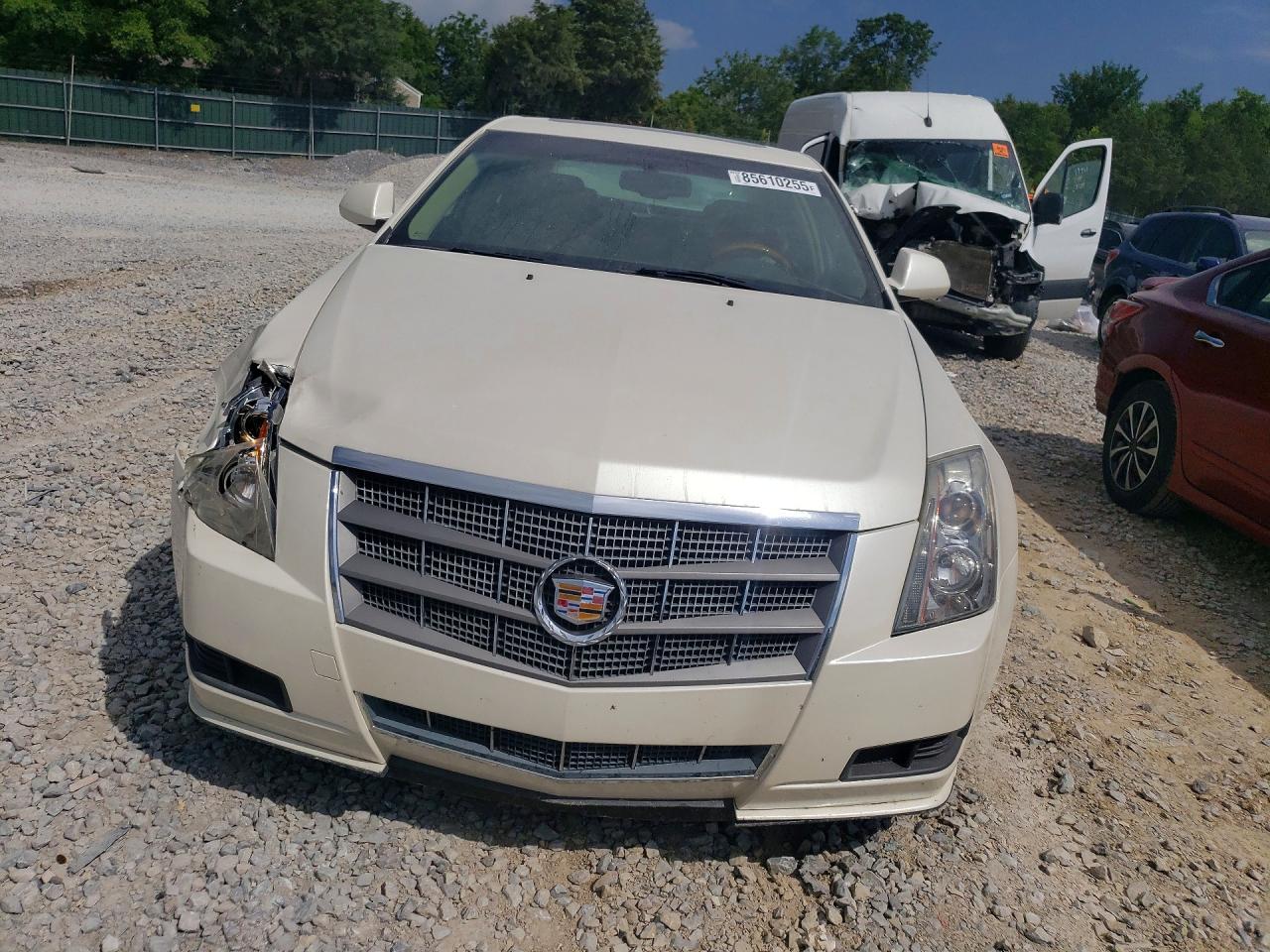 2011 Cadillac Cts Luxury Collection White vin: 1G6DG5EY0B0146638