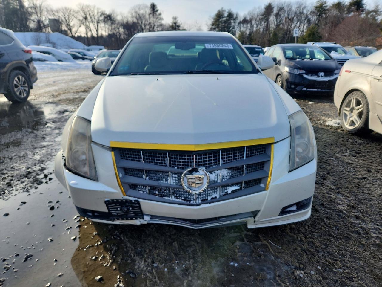 2011 Cadillac Cts Luxury Collection White vin: 1G6DG5EY9B0165124