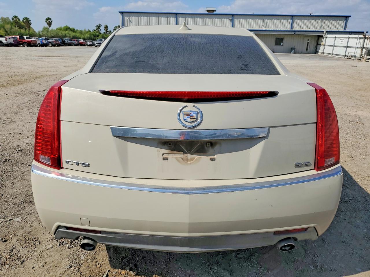 2010 Cadillac Cts Performance Collection Beige vin: 1G6DJ5EV0A0106887