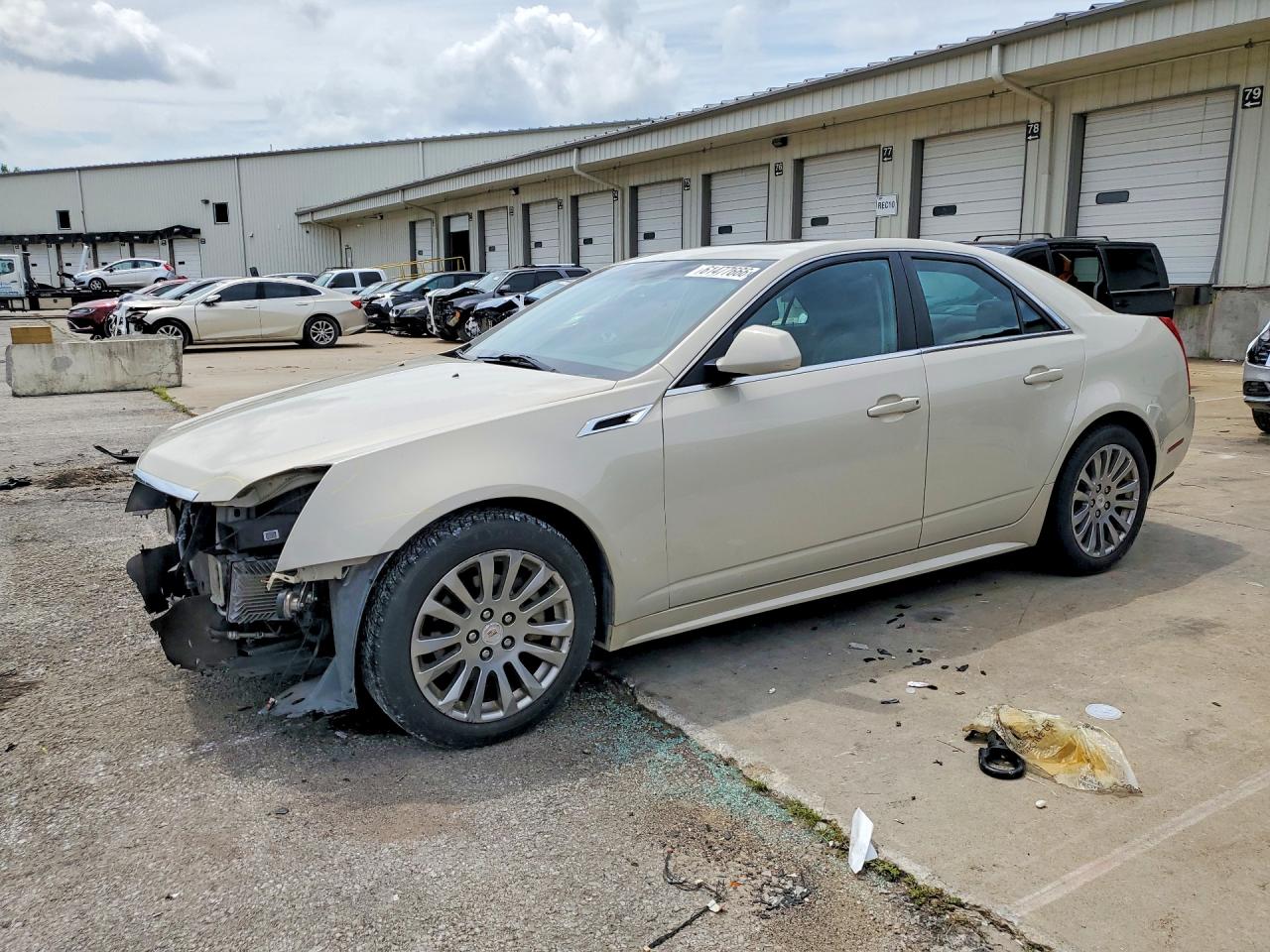 2011 Cadillac Cts Performance Collection Cream vin: 1G6DJ5EY4B0165162