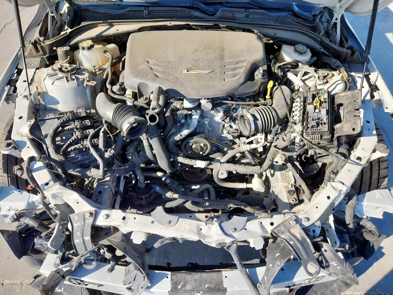 2023 Cadillac Ct4-v Blackwing Белый vin: 1G6DL5RP5P0518012