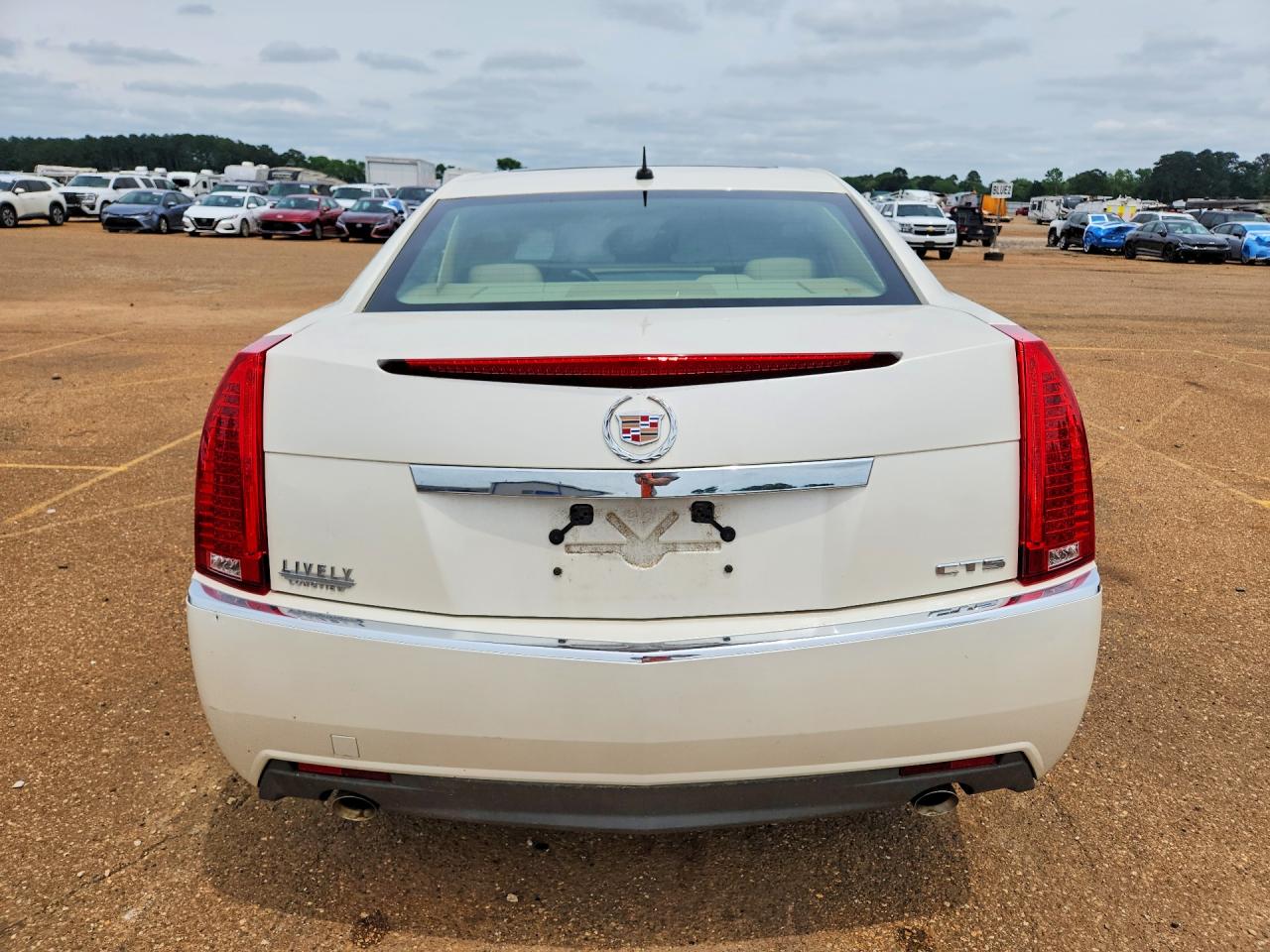 2008 Cadillac Cts Белый vin: 1G6DM577780113674