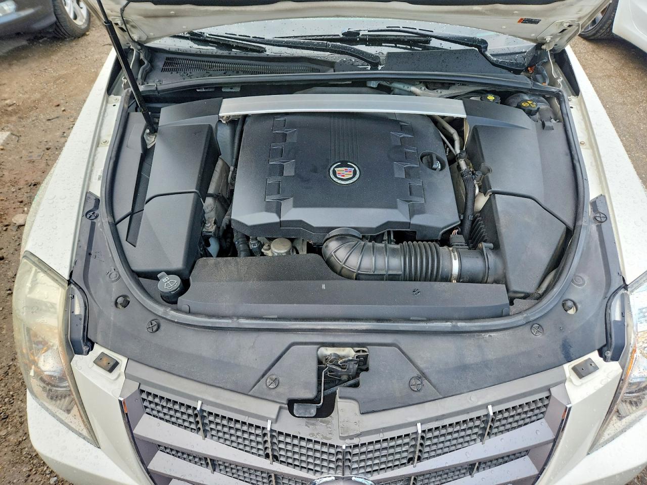 2011 Cadillac Cts Premium Collection Белый vin: 1G6DP1ED8B0153083