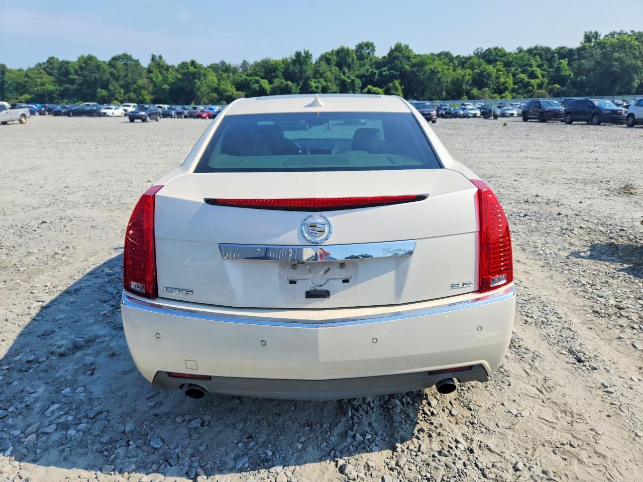 2012 Cadillac Cts Premium Collection Beige vin: 1G6DP5E31C0151465