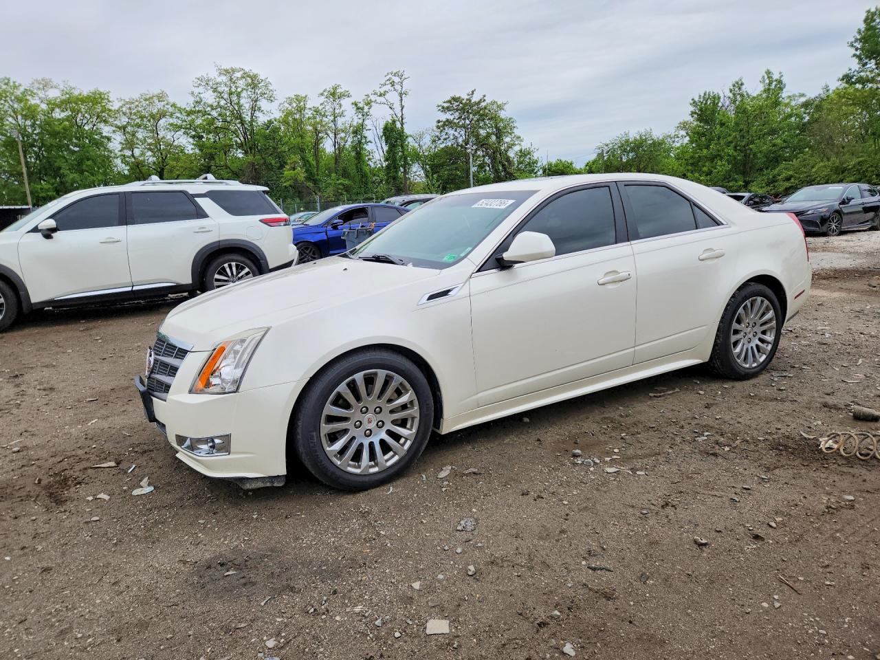 2011 Cadillac Cts Premium Collection White vin: 1G6DP5ED6B0135303