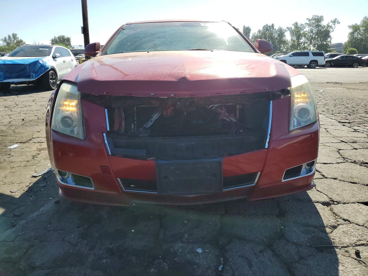 2010 Cadillac Cts Premium Collection Красный vin: 1G6DP5EV6A0109842