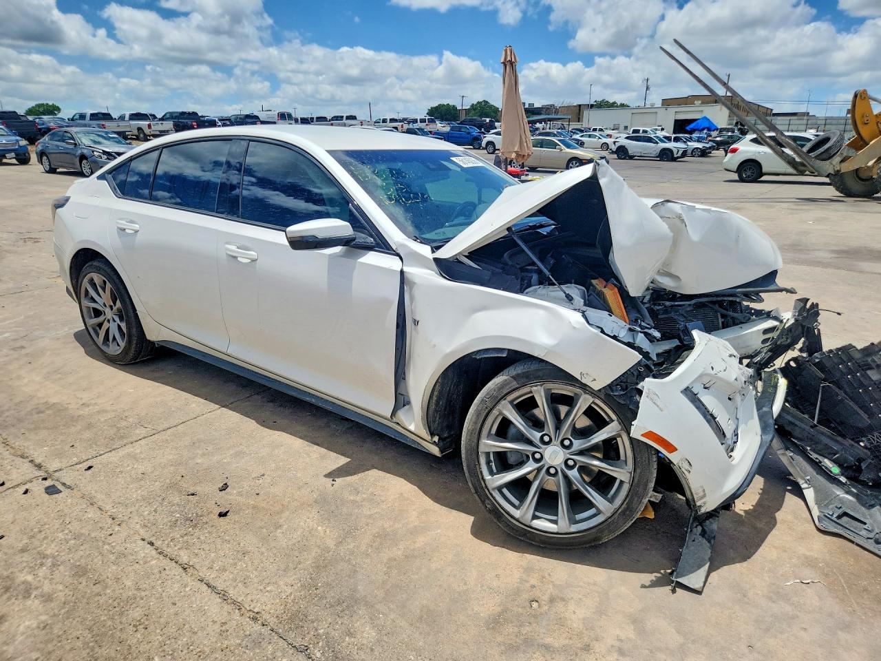 2023 Cadillac Ct5 Sport White vin: 1G6DP5RK4P0109606