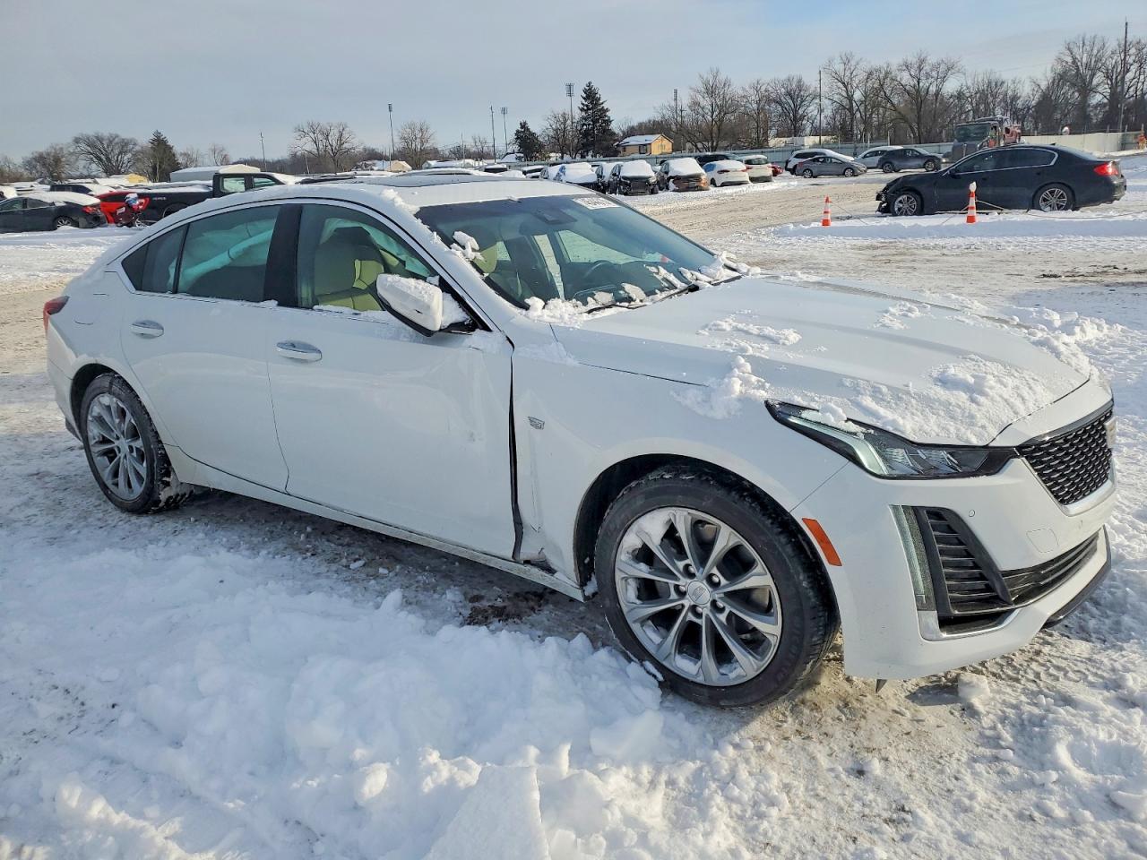 2024 Cadillac Ct5 Premium Luxury White vin: 1G6DT5RK9R0112273