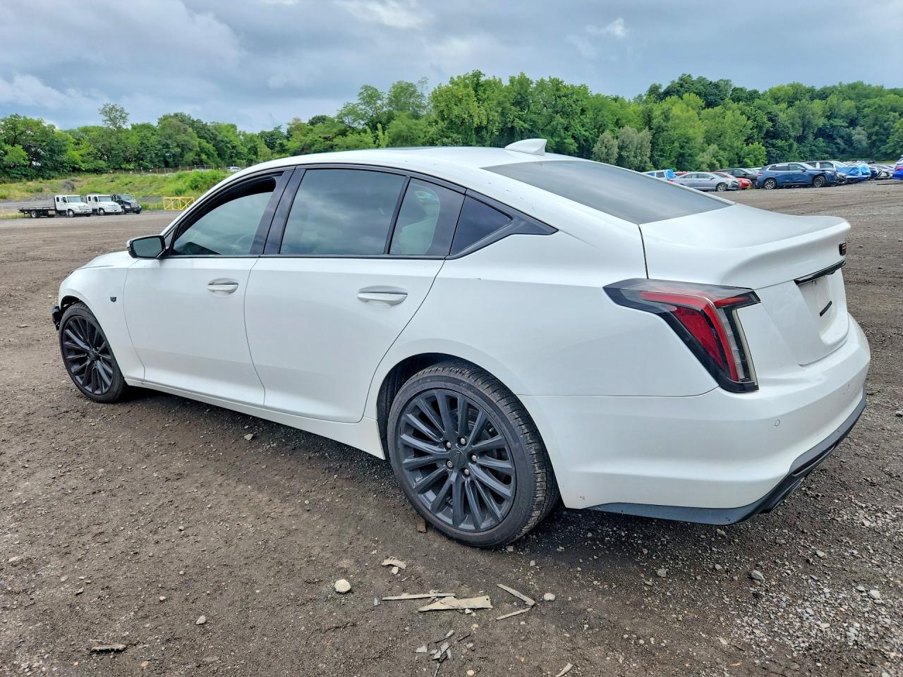 2021 Cadillac Ct5 Premium Luxury White vin: 1G6DT5RW9M0120448