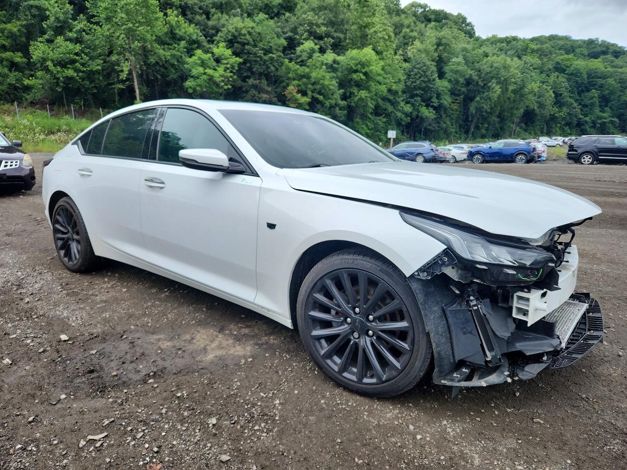 2021 Cadillac Ct5 Premium Luxury White vin: 1G6DT5RW9M0120448