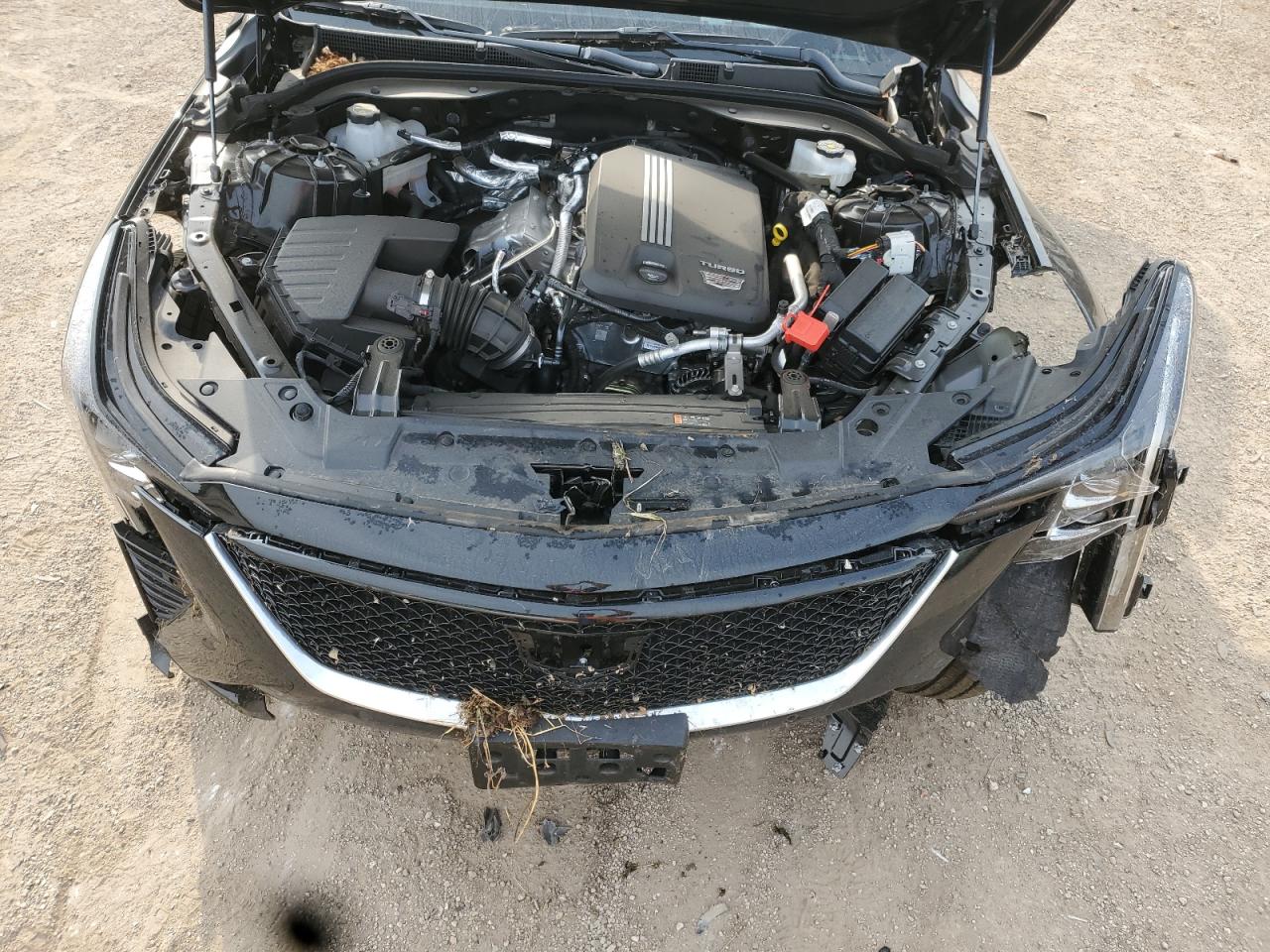 2025 Cadillac Ct5 Sport Black vin: 1G6DU5RKXS0106713