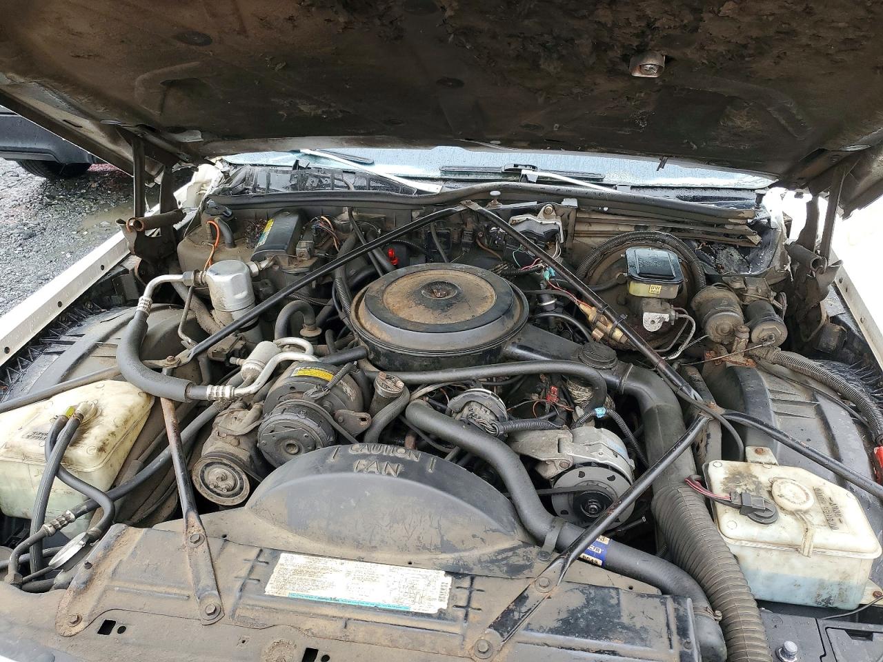 1988 Cadillac Brougham Cream vin: 1G6DW51Y2JR764630