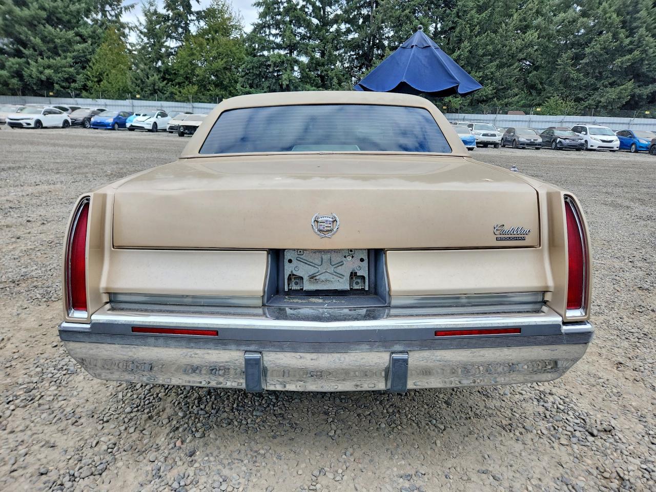 1995 Cadillac Fleetwood Base Tan vin: 1G6DW52P3SR707814