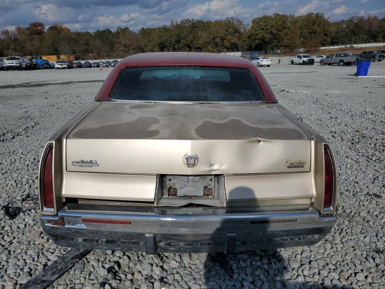 1996 Cadillac Fleetwood Base Двухцветный vin: 1G6DW52P6TR706884