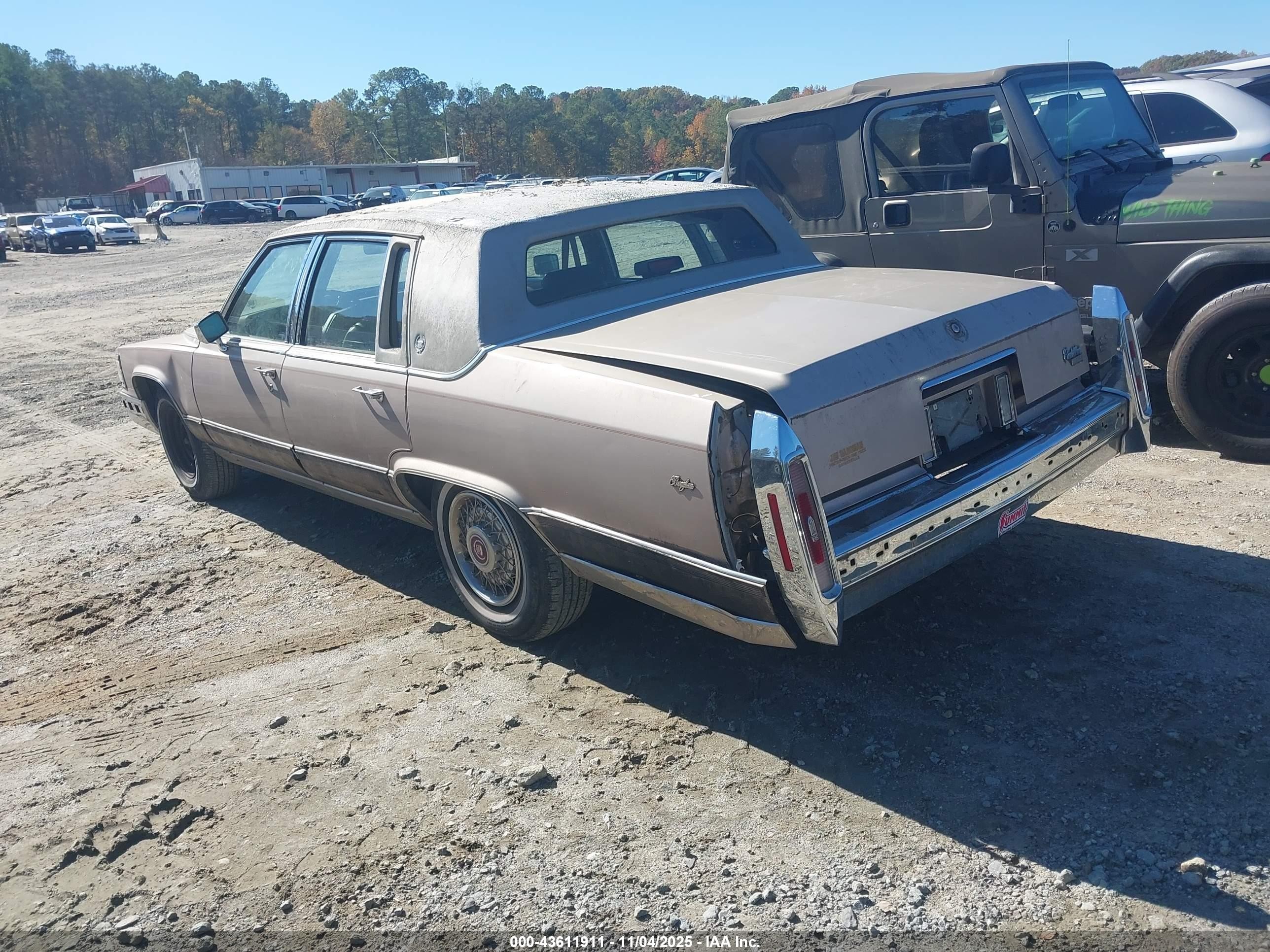 1991 Cadillac Brougham   Желто-коричневый vin: 1G6DW5476MR708620