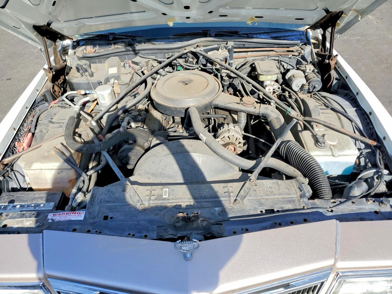 1991 Cadillac Brougham Белый vin: 1G6DW5477MR708867