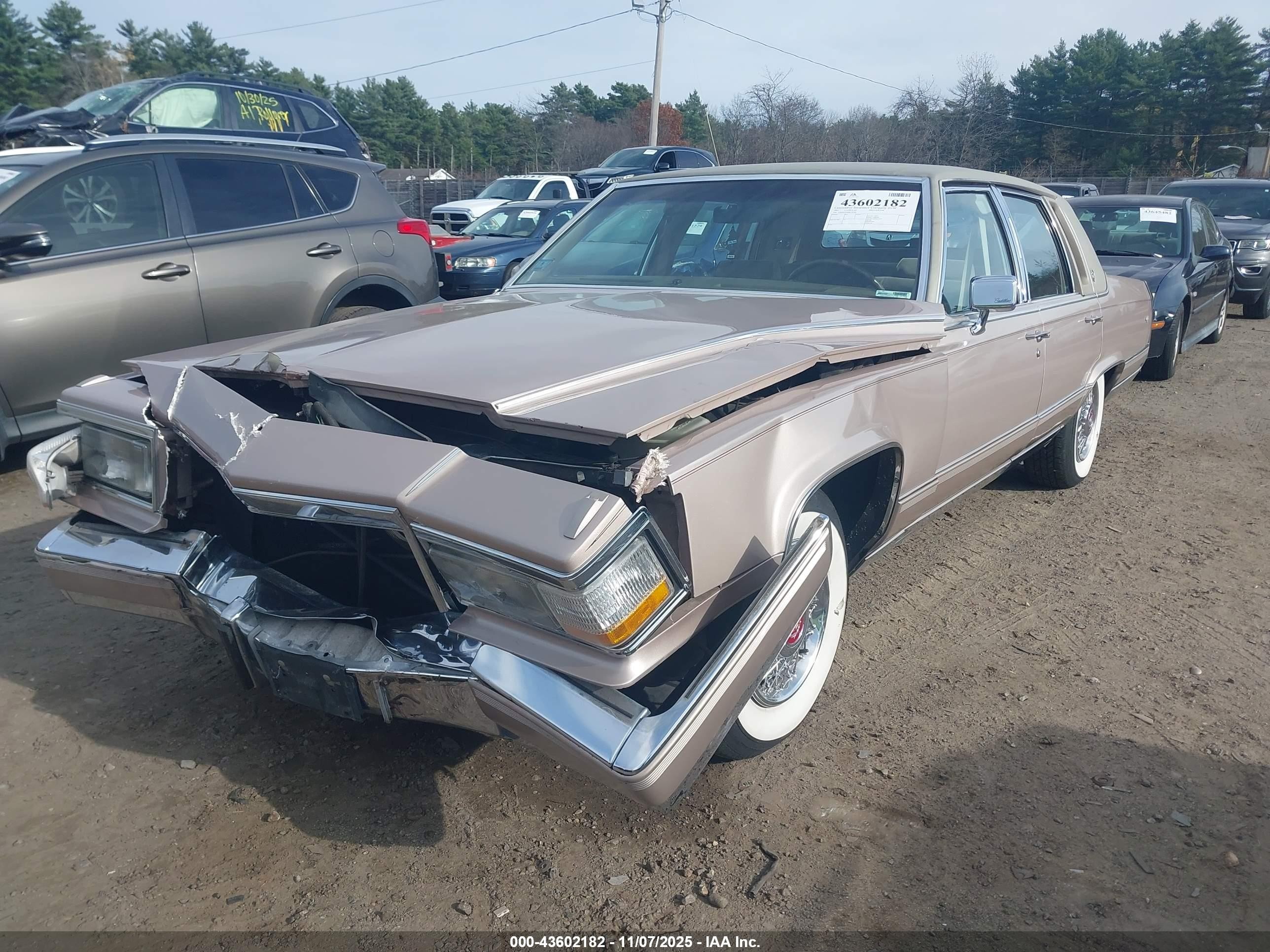 1991 Cadillac Brougham   Beige vin: 1G6DW5478MR722700