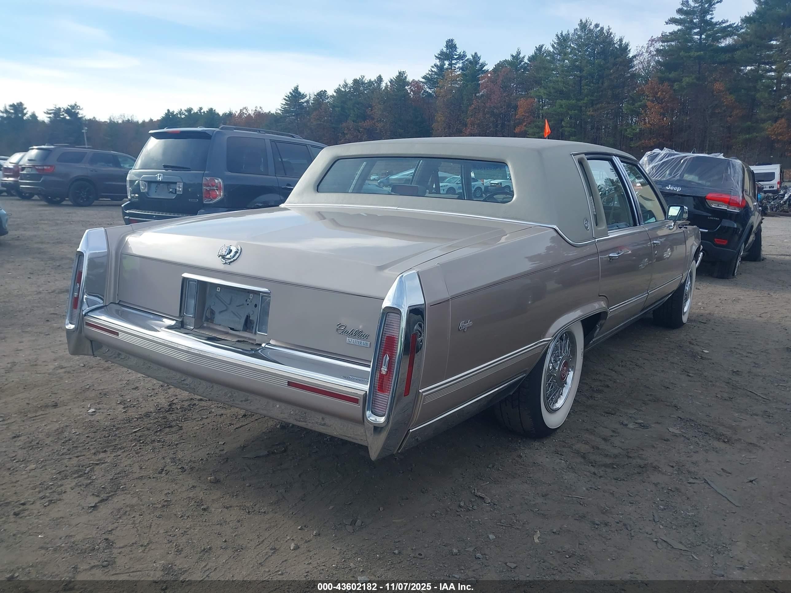 1991 Cadillac Brougham   Beige vin: 1G6DW5478MR722700