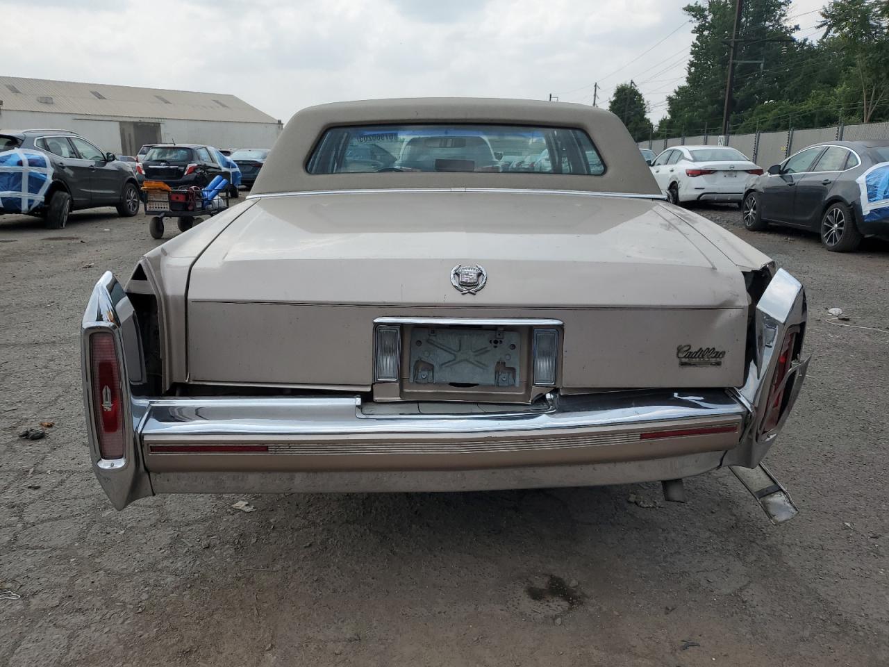 1991 Cadillac Brougham Бежевый vin: 1G6DW54E7MR717745