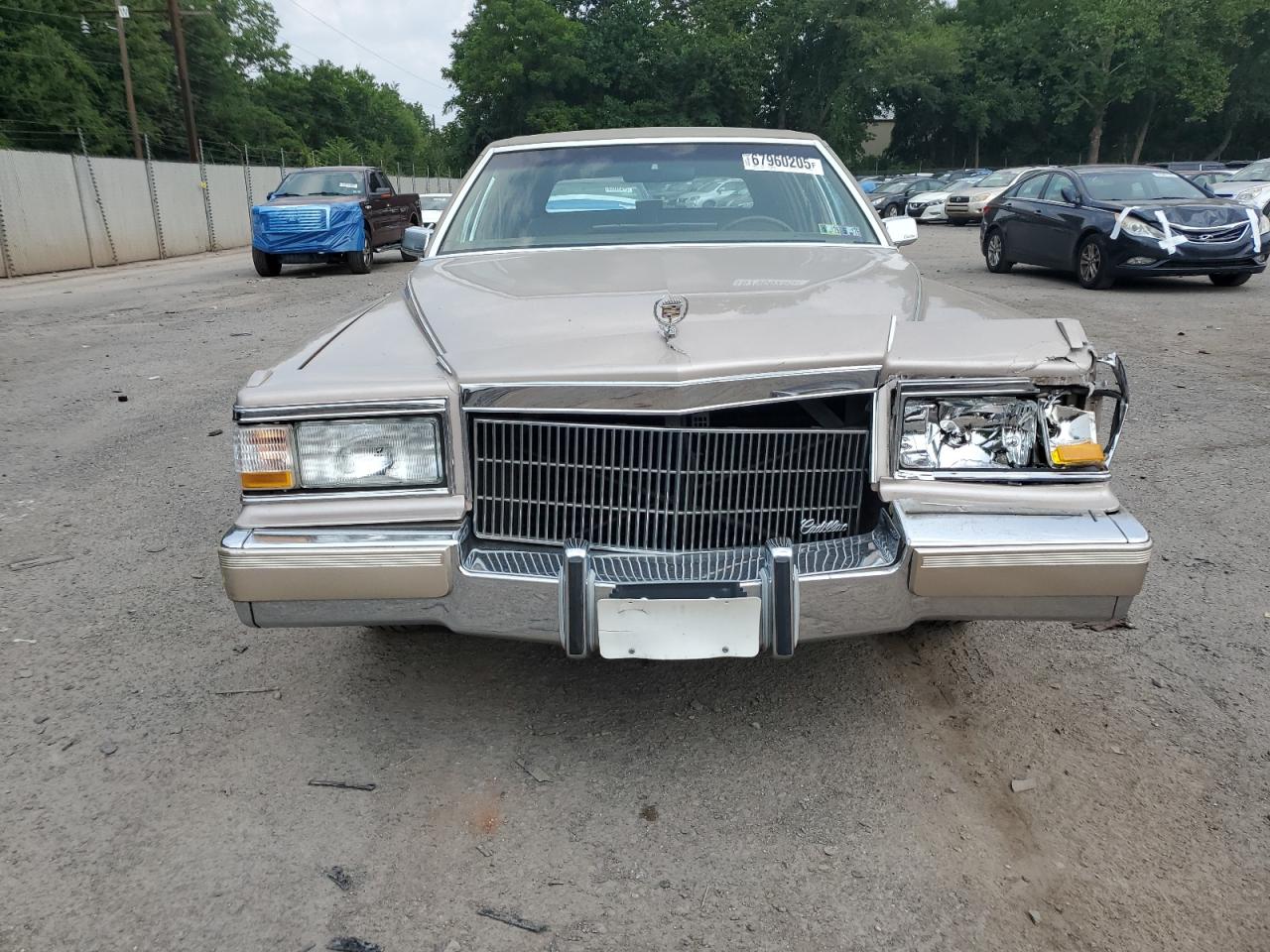 1991 Cadillac Brougham Бежевый vin: 1G6DW54E7MR717745