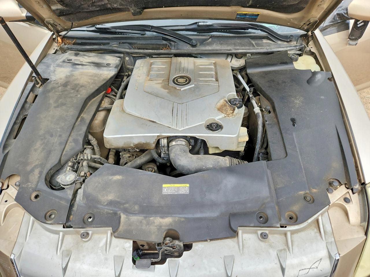 2005 Cadillac Sts Tan vin: 1G6DW677250180579