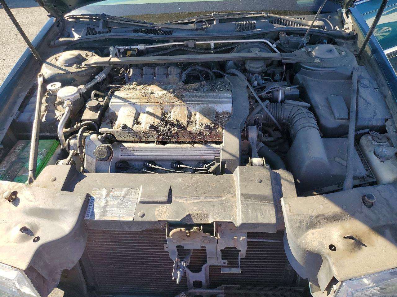 1994 Cadillac Eldorado Green vin: 1G6EL12Y0RU615792