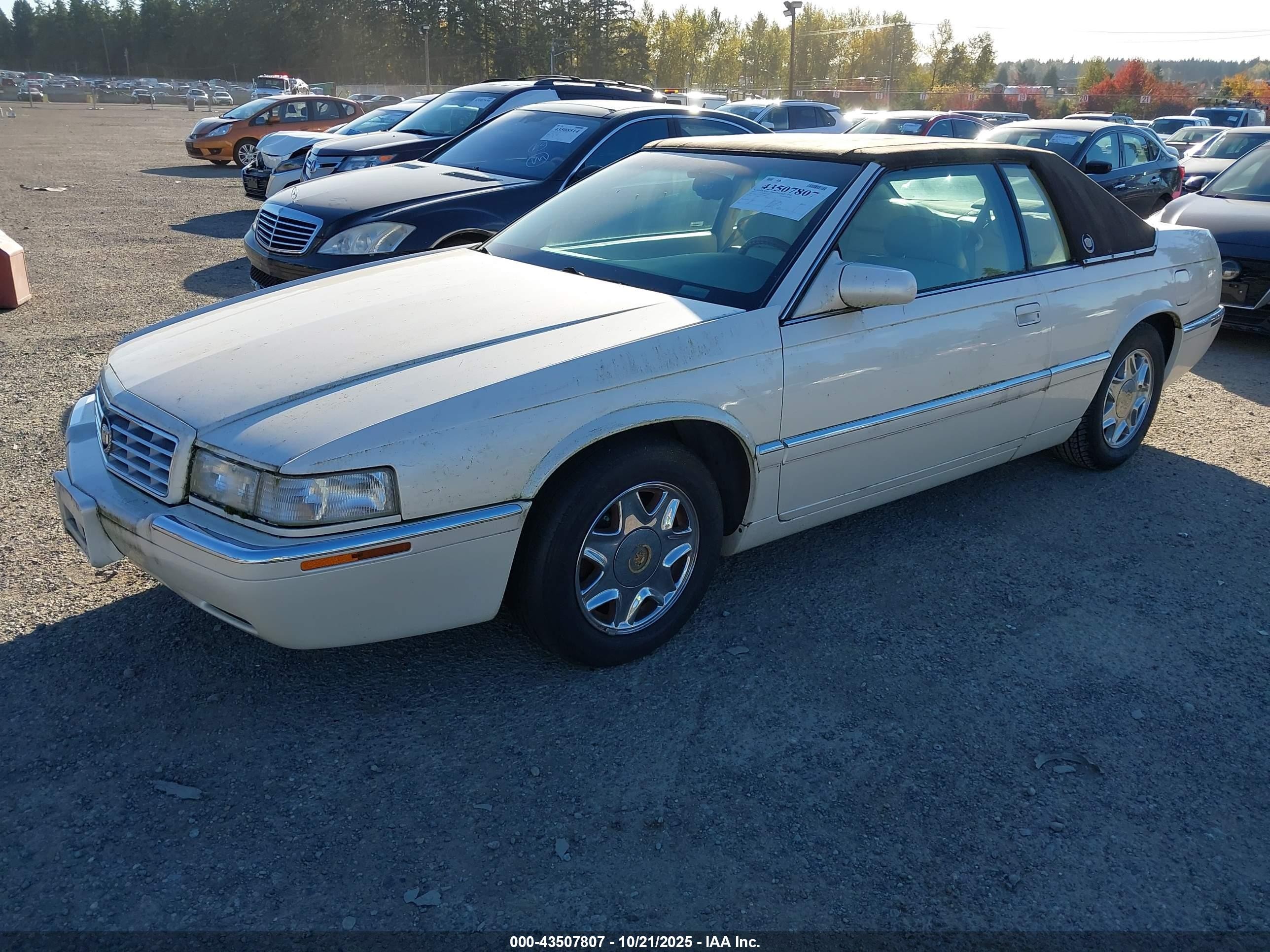 2002 Cadillac Eldorado Esc Белый vin: 1G6EL12Y72B100855