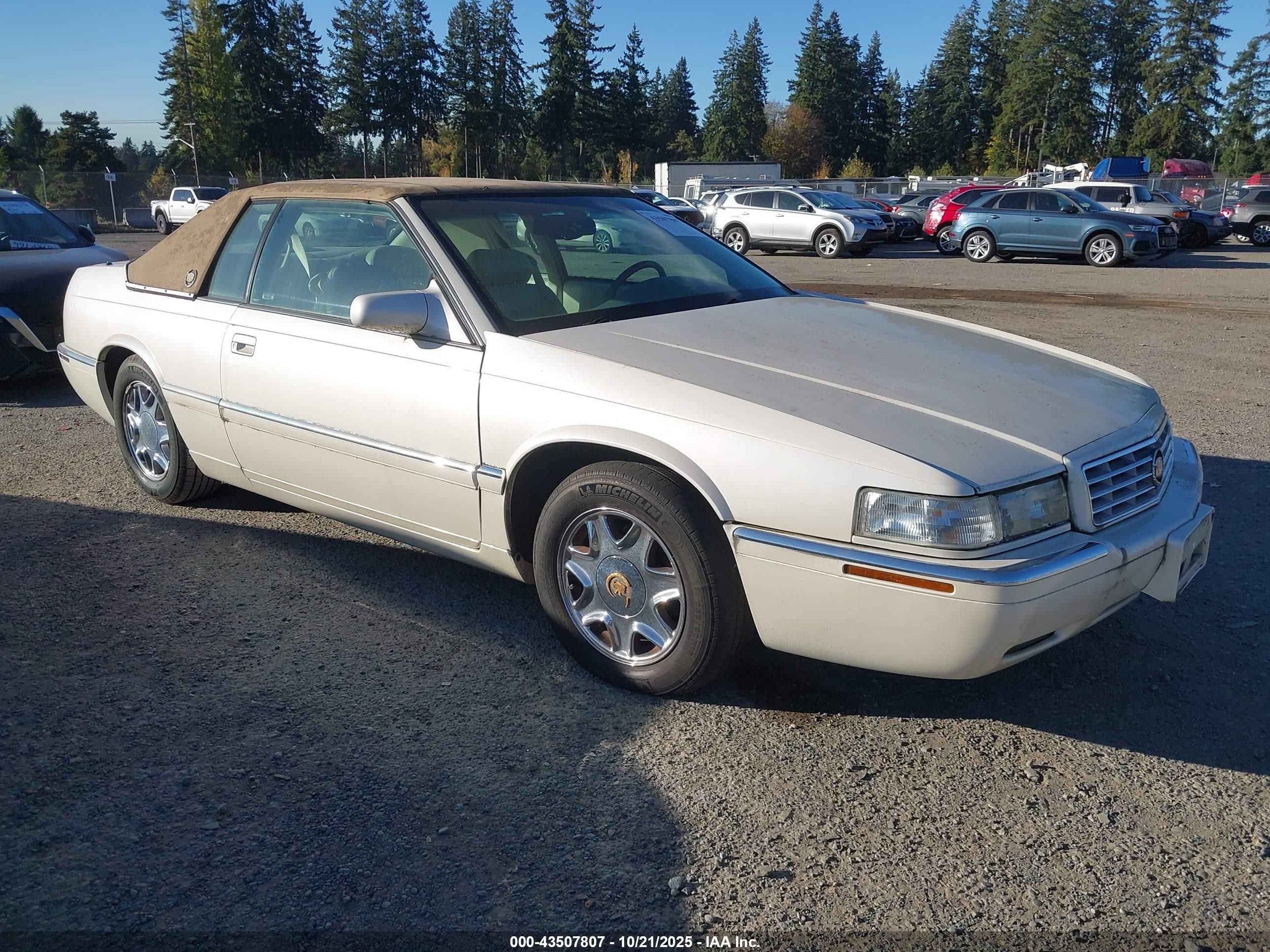 2002 Cadillac Eldorado Esc Белый vin: 1G6EL12Y72B100855